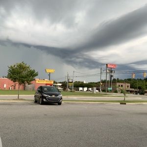 Meet your Posher, Roy